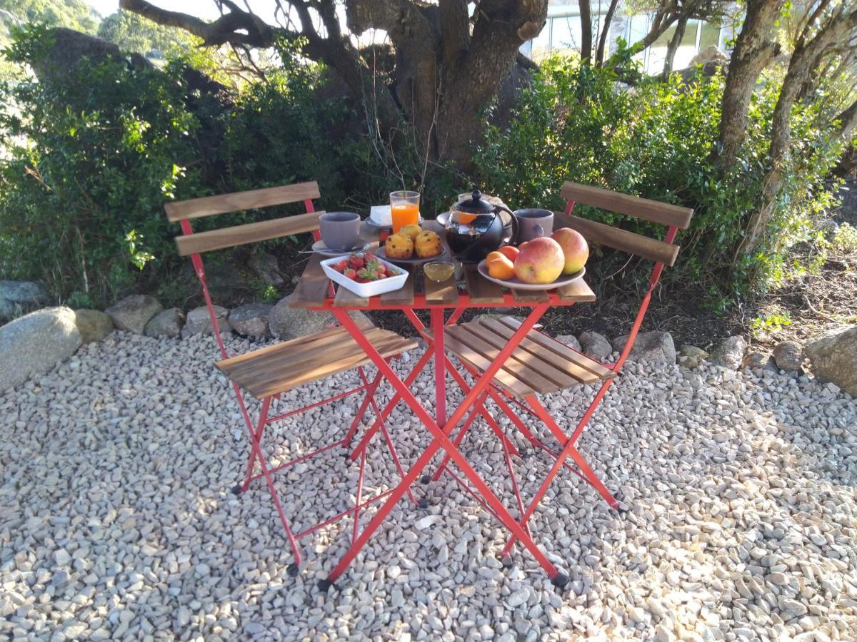 La Cera Farm Camping B&B Santa Teresa Gallura Exterior foto