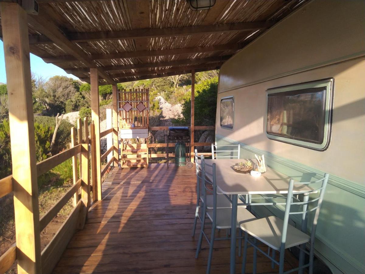 La Cera Farm Camping B&B Santa Teresa Gallura Exterior foto