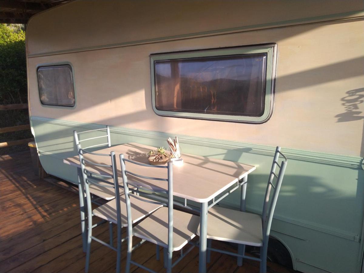 La Cera Farm Camping B&B Santa Teresa Gallura Exterior foto