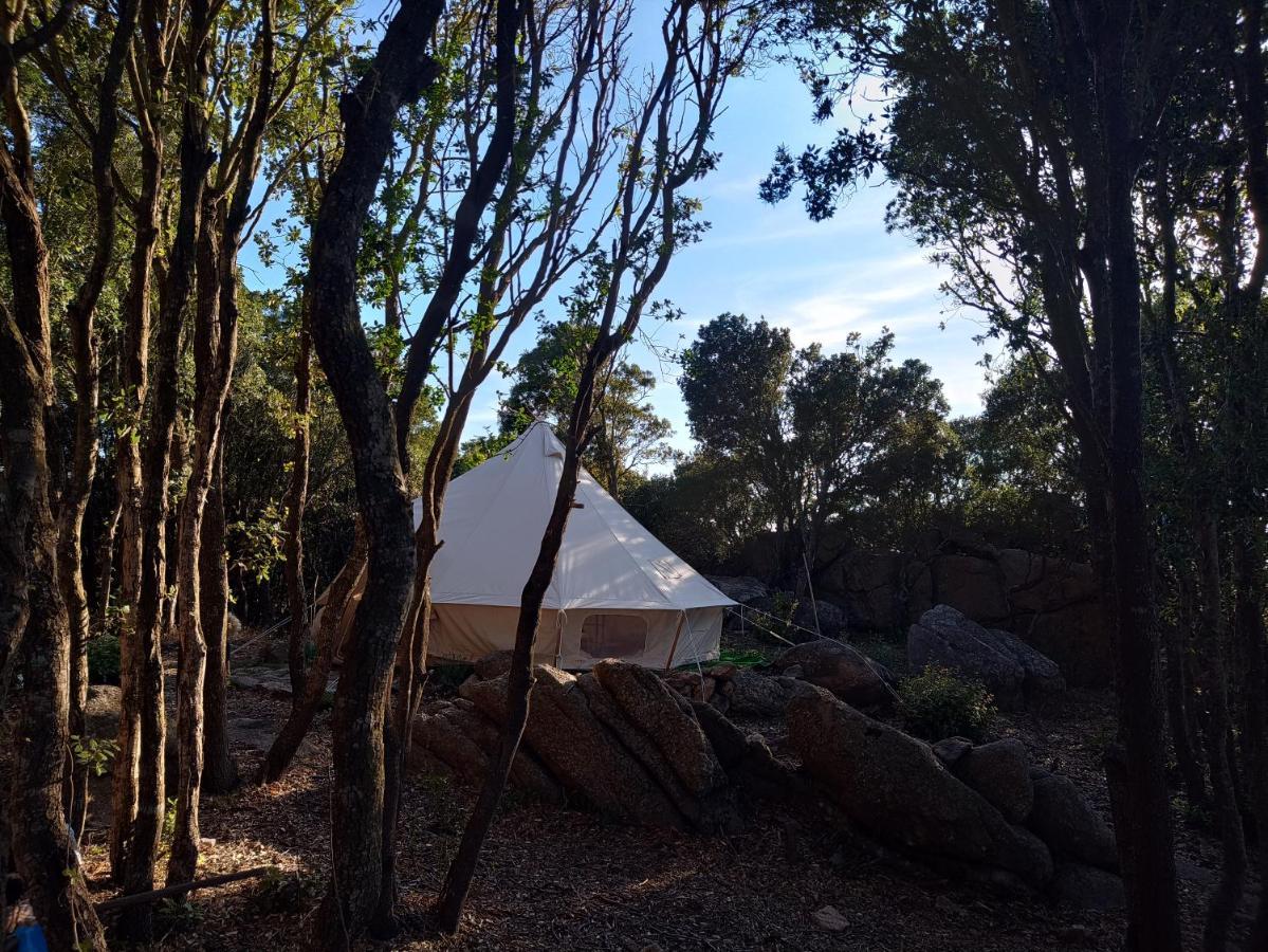 La Cera Farm Camping B&B Santa Teresa Gallura Exterior foto