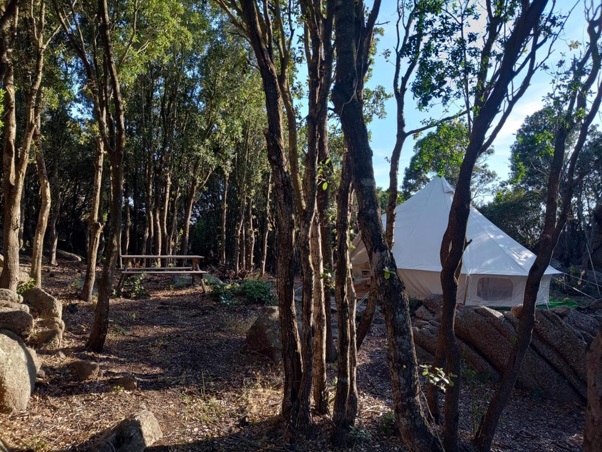 La Cera Farm Camping B&B Santa Teresa Gallura Exterior foto