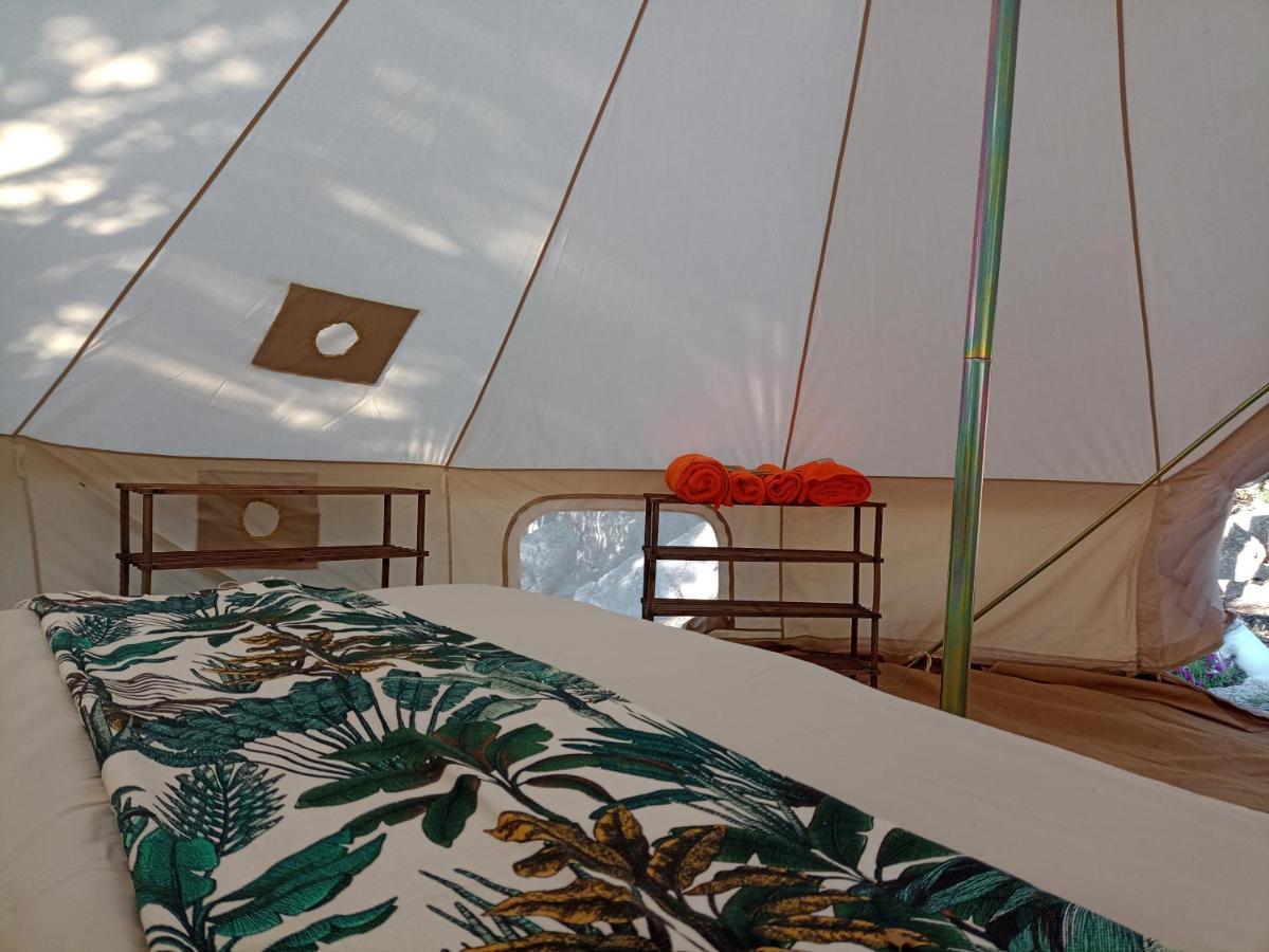 La Cera Farm Camping B&B Santa Teresa Gallura Exterior foto
