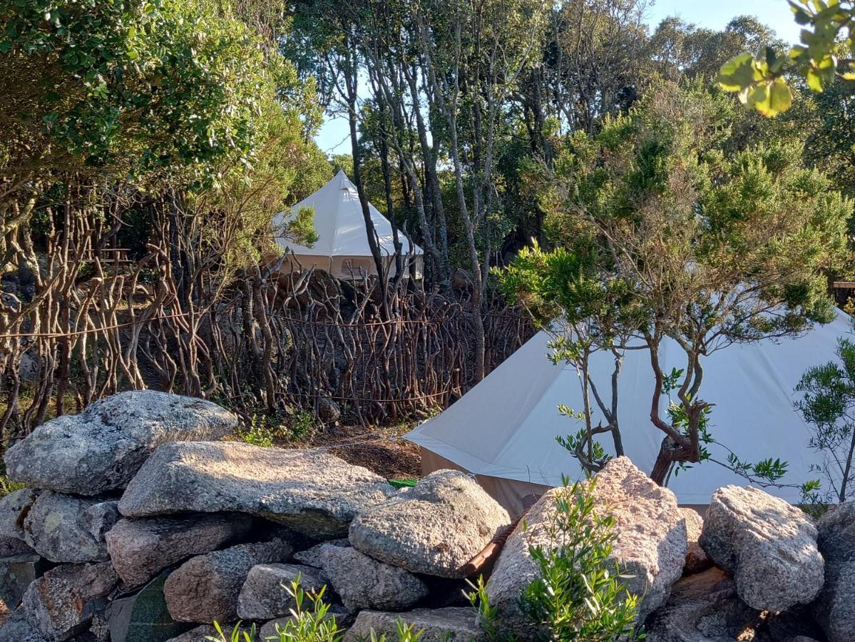 La Cera Farm Camping B&B Santa Teresa Gallura Exterior foto