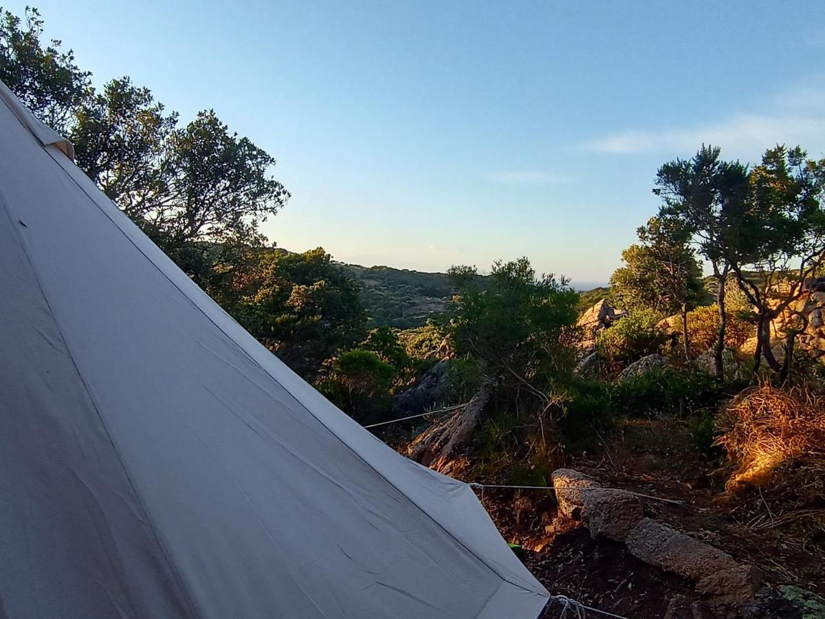 La Cera Farm Camping B&B Santa Teresa Gallura Exterior foto
