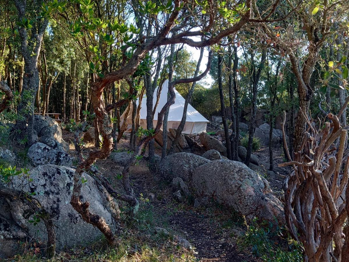 La Cera Farm Camping B&B Santa Teresa Gallura Exterior foto