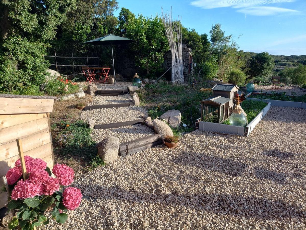La Cera Farm Camping B&B Santa Teresa Gallura Exterior foto