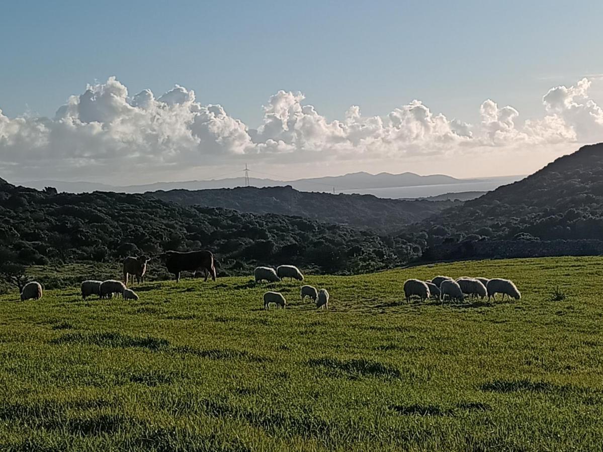 La Cera Farm Camping B&B Santa Teresa Gallura Exterior foto