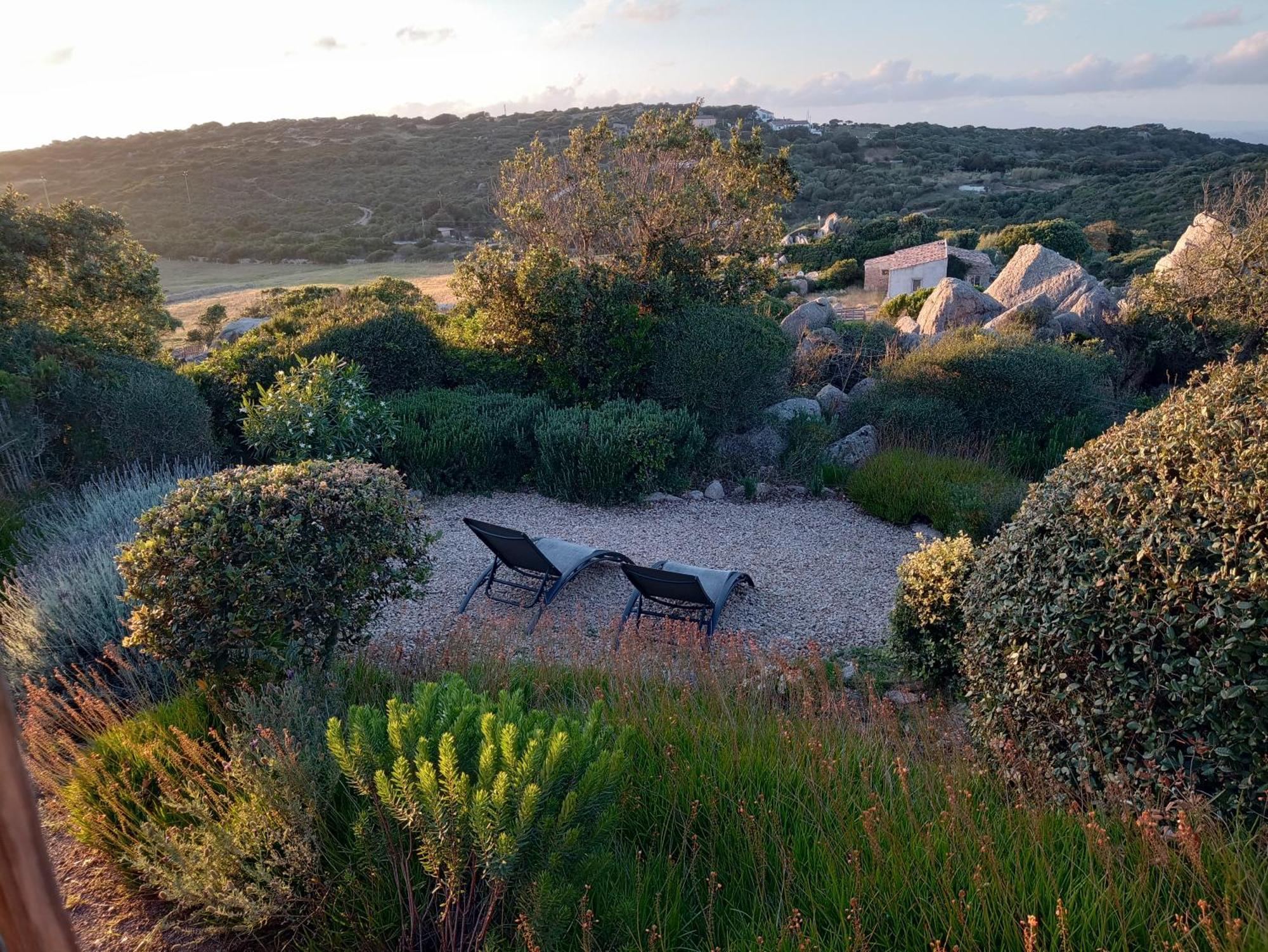 La Cera Farm Camping B&B Santa Teresa Gallura Exterior foto