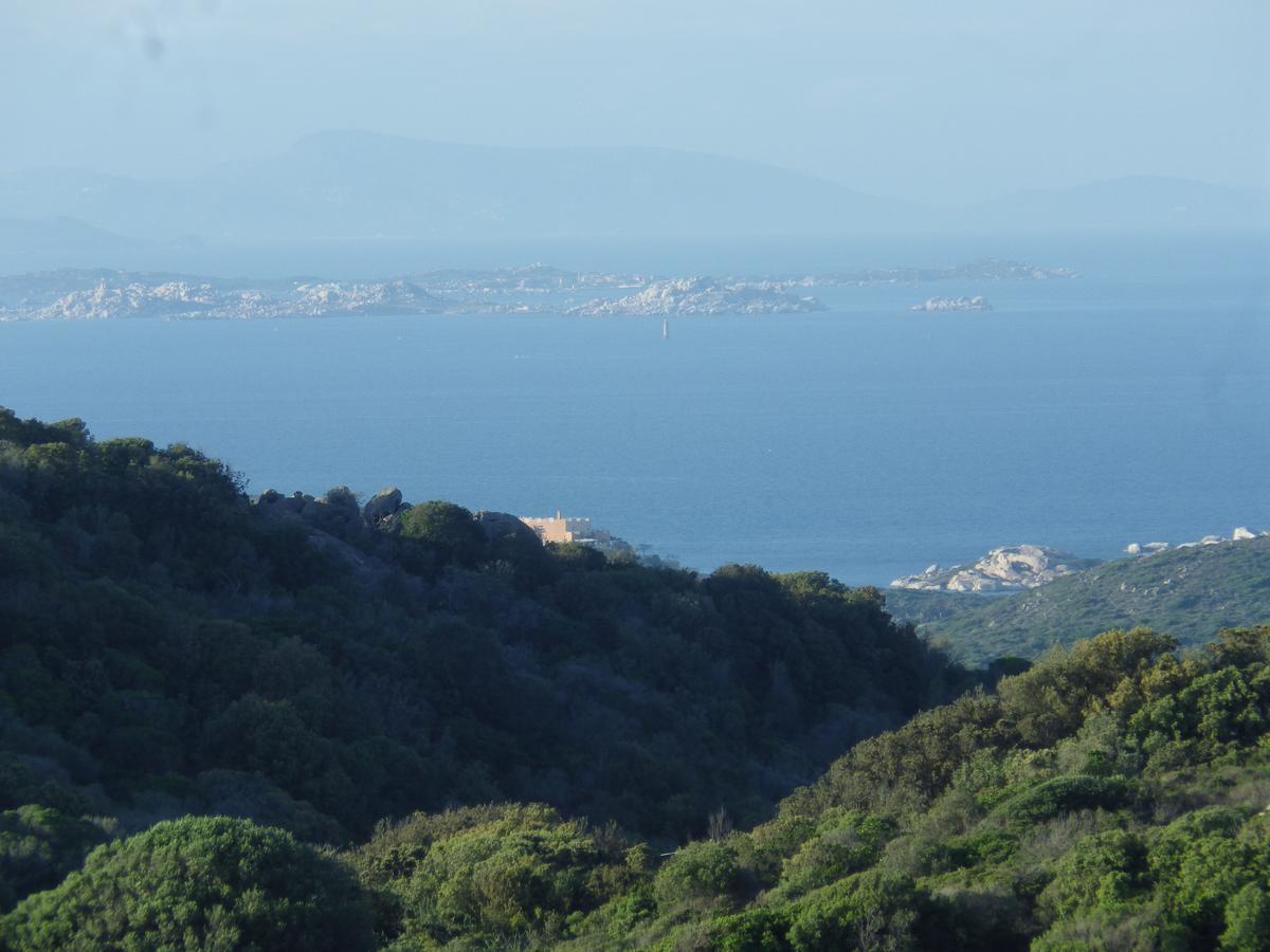 La Cera Farm Camping B&B Santa Teresa Gallura Exterior foto